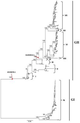 Multiple potential recombination events among Newcastle disease virus genomes in China between 1946 and 2020